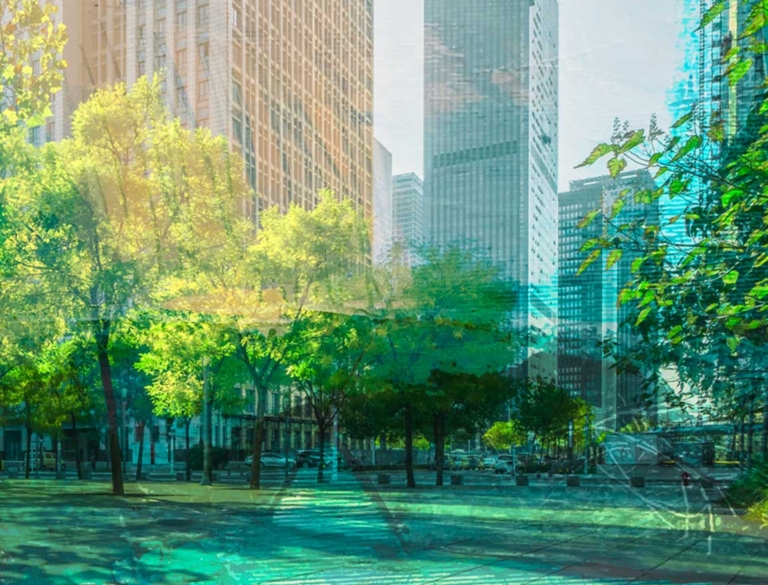 Votre notaire Mas & Associés quartier Minimes à Toulouse